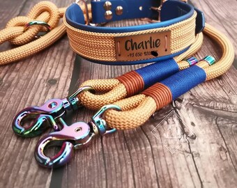 Zusammenfassung der qualitativsten Halsband und leine in einem