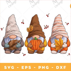 Fall Gnomes svg, Gnomes SVG, Funny Fall Gnomes Svg, Fall svg, Cute Garden Gnomes SVG, Pumpkin svg, Thanksgiving Gnome Svg, Cut File, Png Eps