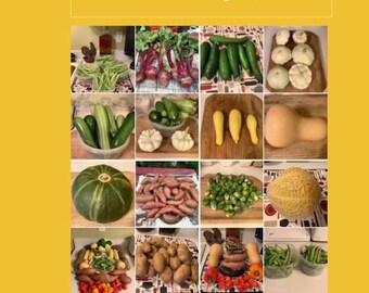 A guide to in-ground gardening