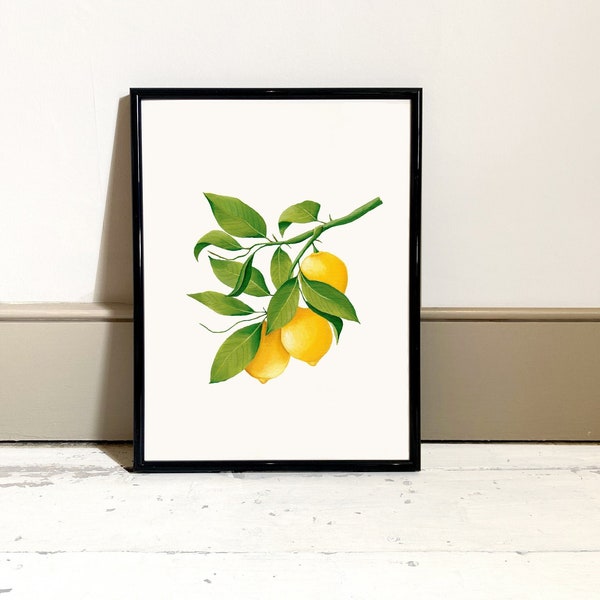 Lemons Oil Paint Print, Home Decor, Design Lemons Art, Kitchen art, Yellow Lemons Wall Print