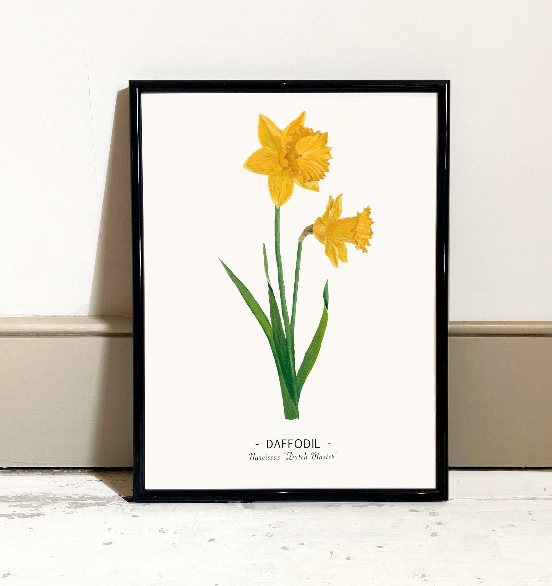 Daffodil Oil Paint Print With Scientific Name Flower - Etsy