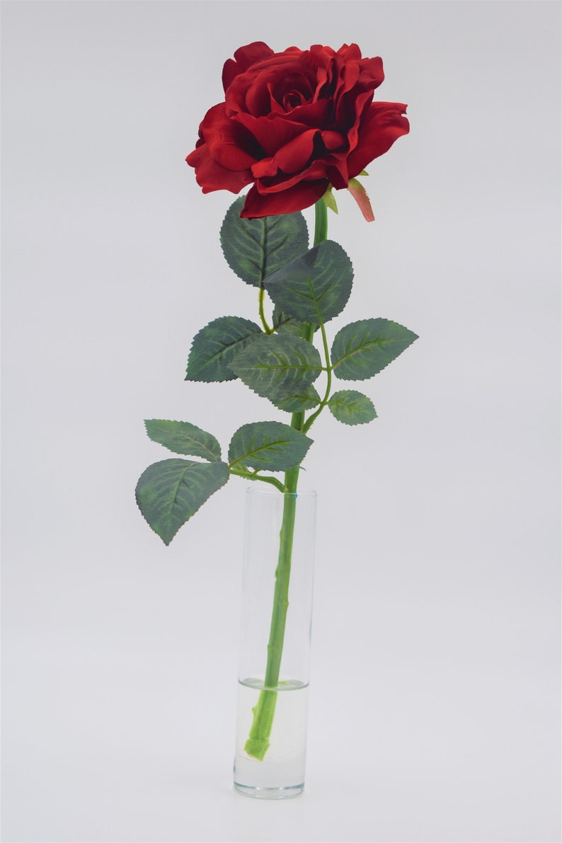 Gray Lane Clear Acrylic Water for Floral Arrangements Etsy