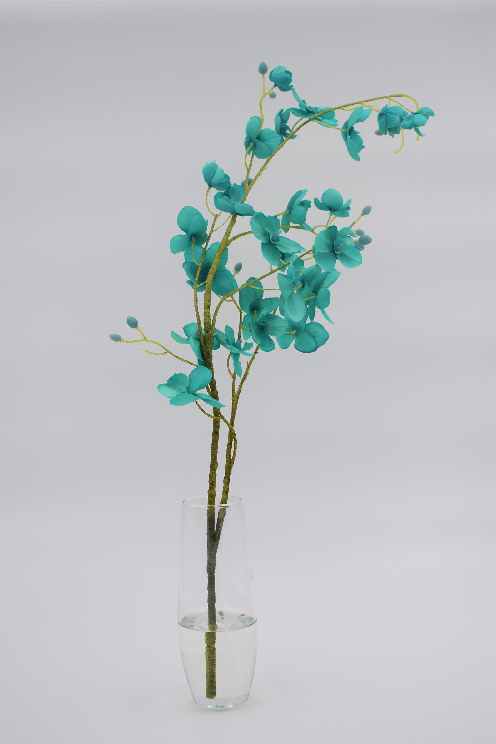 Gray Lane Clear Acrylic Water for Floral Arrangements Etsy