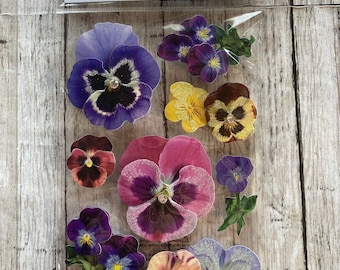 Paper House Production Pansies 3D Stickers
