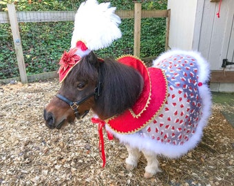 christmas fancy dress on horseback Horse christmas outfit ideas