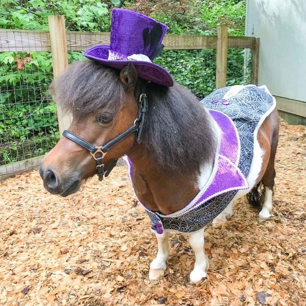 Cobweb Couture - Halloween Costume with Top Hat and Spooky Cobweb Jacket and Coattails.