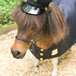 The Fuzz Policeman's Costume for Mini Horse with Classic Hat and Badged Jacket image 4