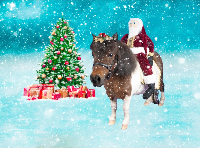 Riding Santa - Festive Holiday Saddle, Fascinators and Santa Rider for ...
