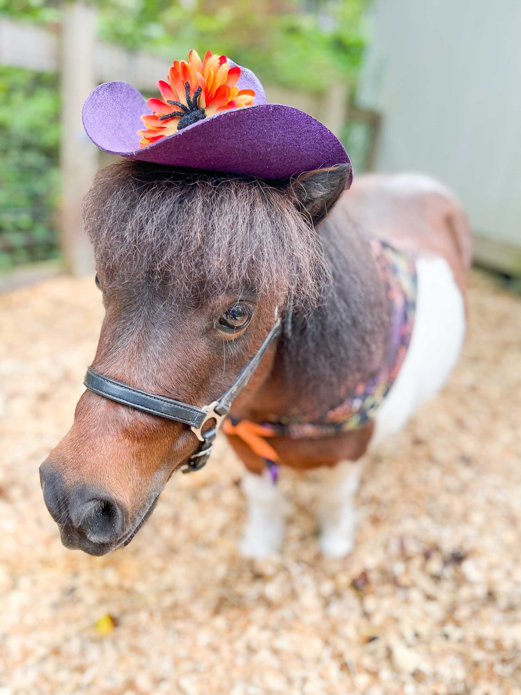 Corde à Col HI VIZ OH SHOOT STRAP Avec Veste Personnalisée – Poney/épi/pleine