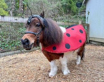 Fly Away Home -  Ladybug Costume with Antennaed Hat and Cape for Mini Horse