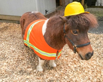 Construction Worker - Costume for Mini Horse with Construction Hat and High Visibility Work Vest