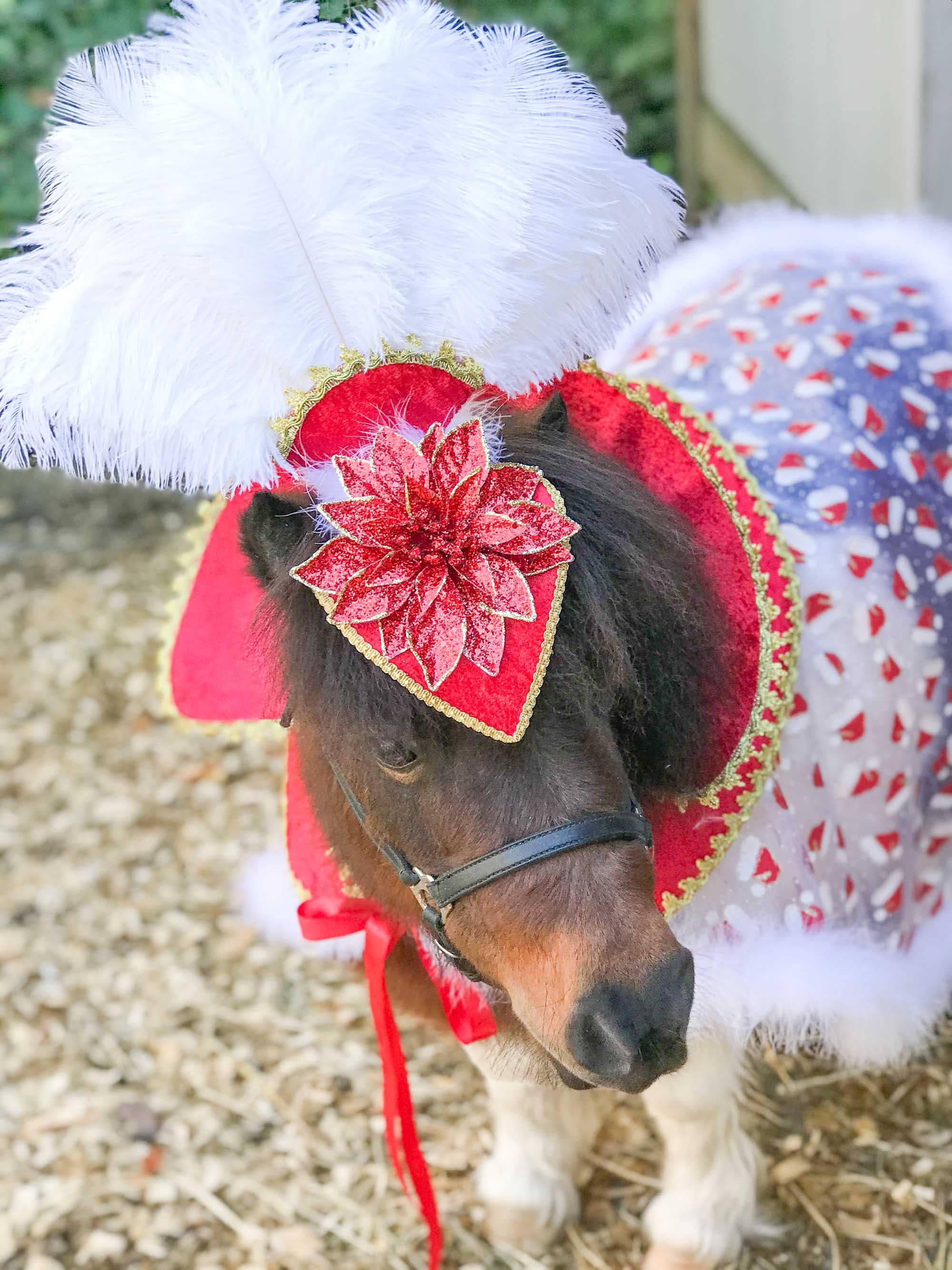 equine christmas fancy dress Rule Your Yule - Costume With Feathered Pointsettia Head Piece and Regal  Christmas Cape for Mini Horse