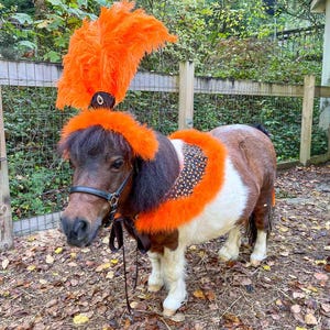 May include: A miniature horse wearing an orange and black feathered costume. The horse is standing on a bed of brown leaves.