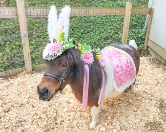Hey, Hop Stuff! - Easter Bunny Costume for Mini Horse