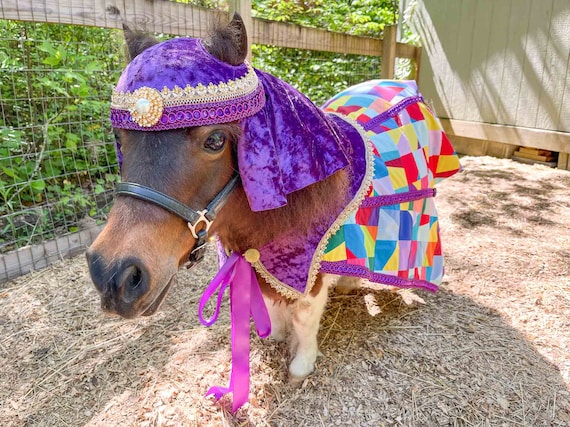 hyde着 WILD HORSE/MINI Mini Colored Dream Coat - Bejeweled  