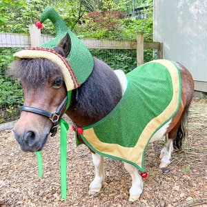May include: A brown and white miniature horse wearing a green and red elf hat with a gold trim and a green cape with a gold trim.