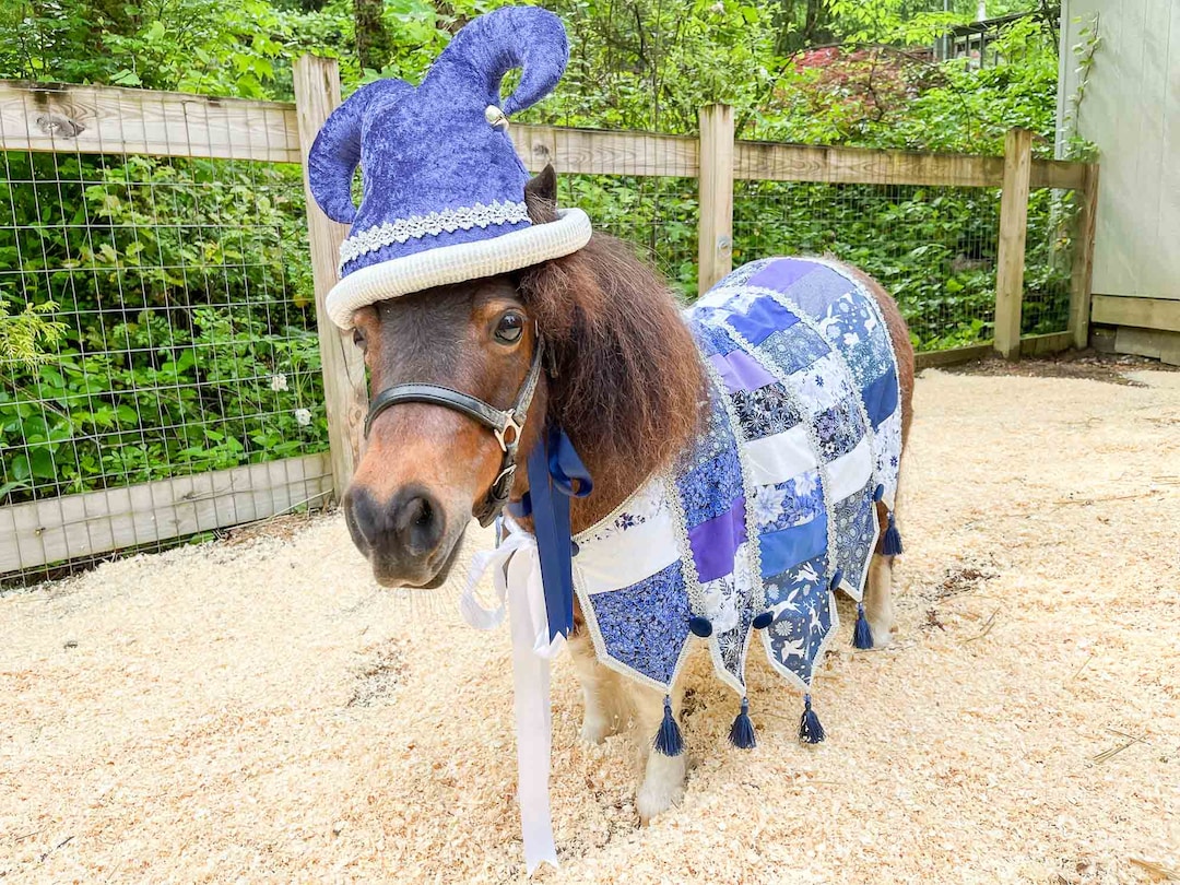 Winter Whimsy - Holiday Jester Costume With Hat and Quilted Cape for Mini  Horse - Etsy