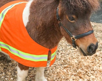 Vêtements de cheval de passe-temps Co. Gilet moyen enfant