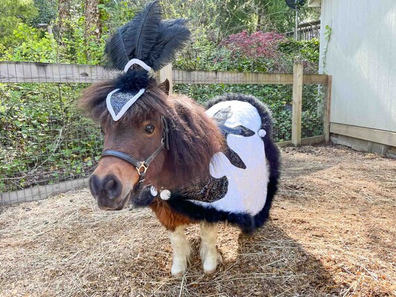 Cantering Cabaret - Feathered Headdress, Cape and Tail  display picture 2