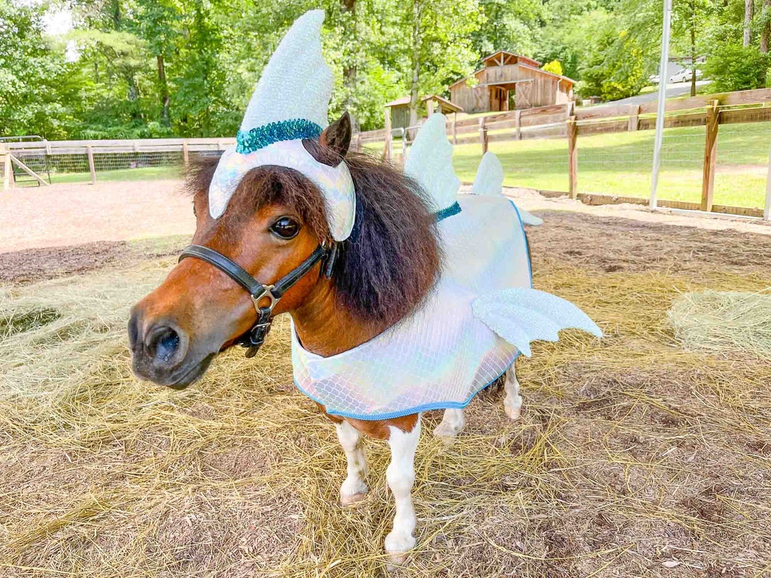 Luna Tuna Fish Costume With Finned Hat, Fish Body and Tail for Mini