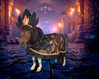 Scream Queen of Halloween -  Witch Outfit with hat and cape for Mini Horse