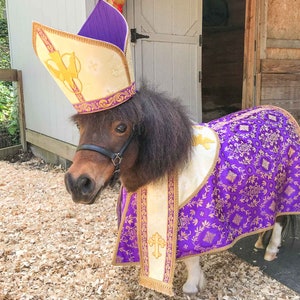 Prancing Pope - Religious Costume with Pontiff Hat and Vestment for Mini Horse