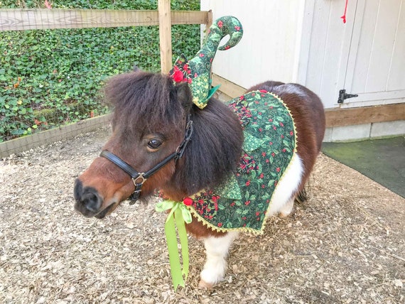 Be Your Elf Costume With Elf Hat Cape 
