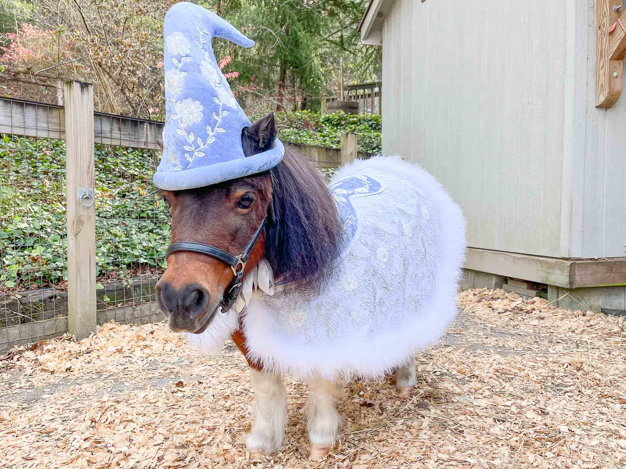 Snowfall Serenade - Costume With Embroidered Elf Hat and Christmas Cape for Mini Horse