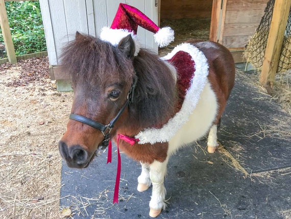 Cranberry Christmas Santa Hat Velvet 