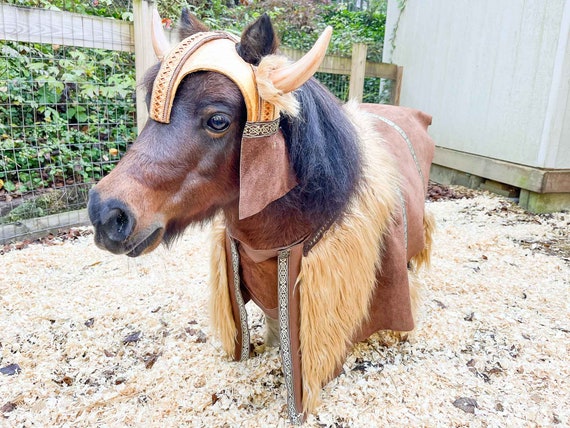 Viking Helmet Small Adult Marauder Barbarian Hat Viking Helmet Small Adult Marauder Barbarian Hat