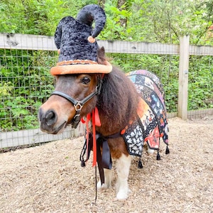 May include: A brown and white miniature horse wearing a black and orange jester hat and a colorful Halloween costume with tassels.