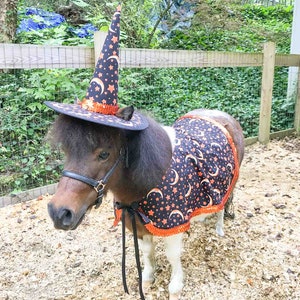 Witch of the Pumpkin Moon -  Witch Outfit with hat and cape for Mini Horse