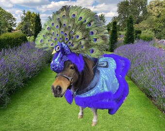 Peacock Paradiso - Feathered Headdress and Cape for Mini Horse