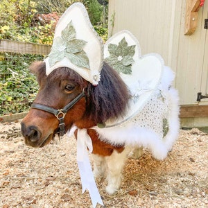 horse christmas dress up ideas Sage and Snowflakes - Costume With Crown and Cape for Mini womensdaysale Kennedy Blue Bridesmaid Dress Color:Red Buffalo pony club horse christmas fancy dress