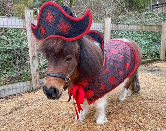 The Scarlet Scoundrel - Pirate Costume for Mini Horse with Hat and Swashbuckler Jacket