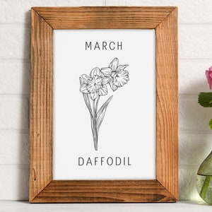 March Birth Month Flower Print Daffodil Wall Art Botanical Wall Art Birthday Gift Print Daffodil Illustration Digital Download Poster