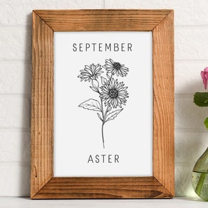 September Birth Month Flower Print Aster Wall Art Botanical Wall Art Birthday Gift Print Aster Illustration Digital Download Poster