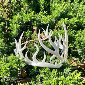 Heart Antler Crown