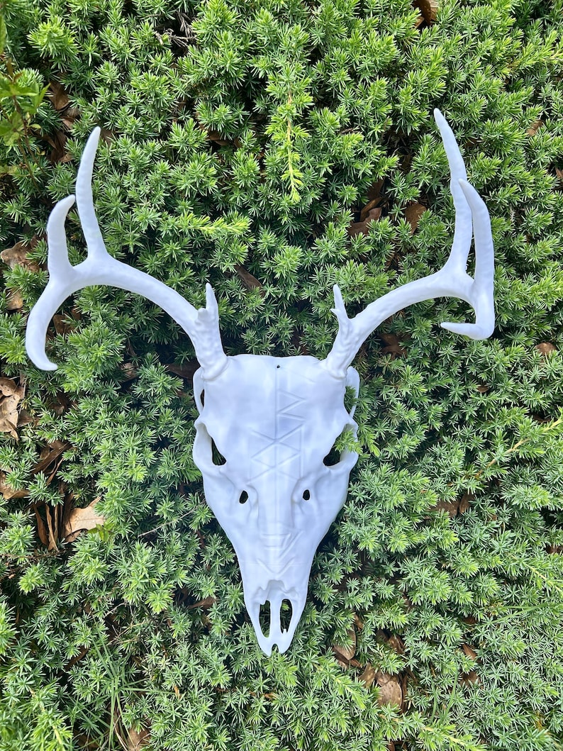 May include: A white deer skull with large antlers, set against a backdrop of green foliage. The skull has detailed features and a textured surface. The antlers are long and curved, adding to the skull's striking appearance. A decorative piece for home decor.