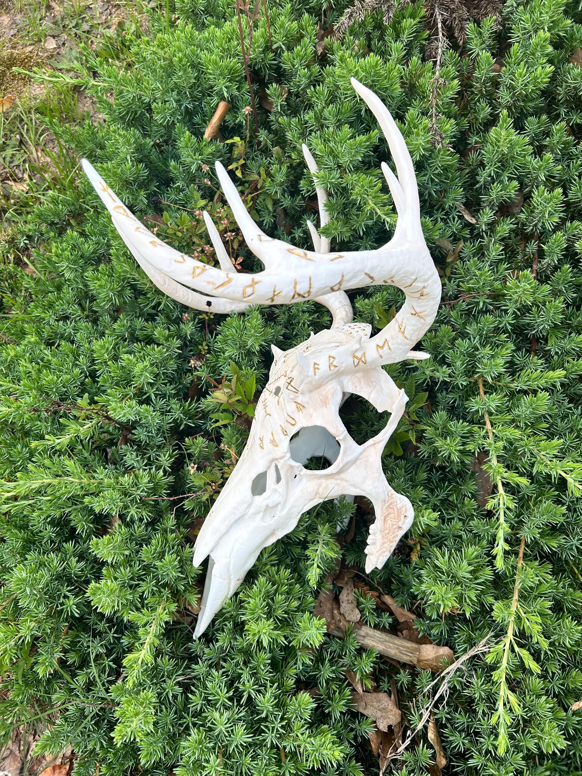 Deer Skull Mask Diy