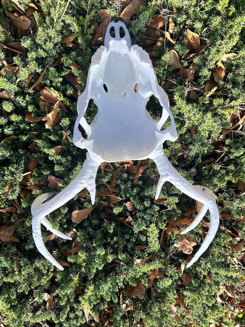 May include: A white deer skull with large antlers, resting on a bed of green foliage and brown leaves. The skull has a detailed structure with visible eye sockets and nasal cavity. The antlers curve outwards, adding to the natural aesthetic.
