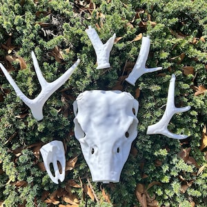 May include: A collection of white, decorative deer skull and antlers arranged on a bed of green foliage. The skull is centered, surrounded by various antler pieces, creating a natural, rustic aesthetic. The pieces are likely for home decor.