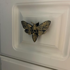 Gothic Moth Drawer Knob