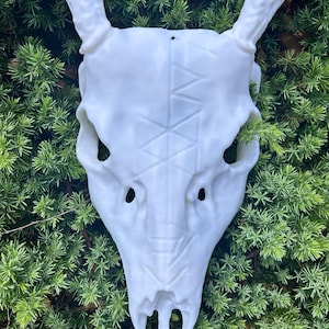 May include: A white deer skull with large antlers, featuring a geometric design on the forehead. The skull is set against a backdrop of green foliage, creating a striking contrast. The skull is a decorative item.