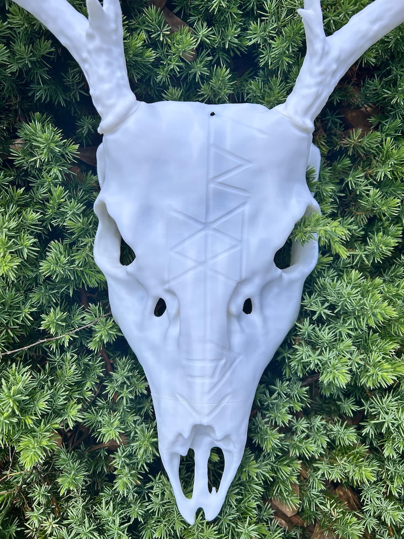 May include: A white deer skull with large antlers, featuring a geometric design on the forehead. The skull is set against a backdrop of green foliage, creating a striking contrast. The skull is a decorative item.