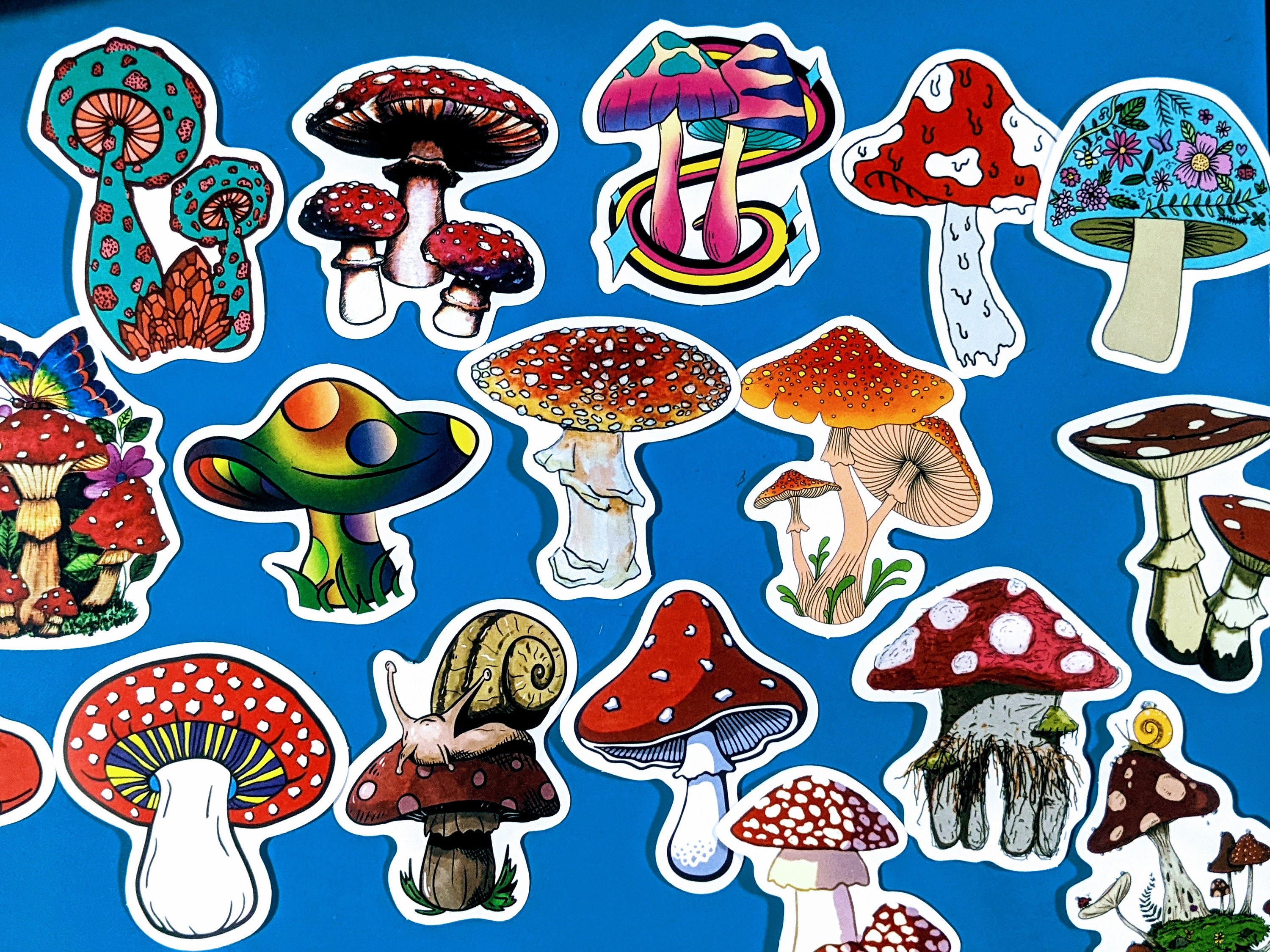 Mushroom Sticker Pack Magic Mushroom Stickers Assorted Etsy