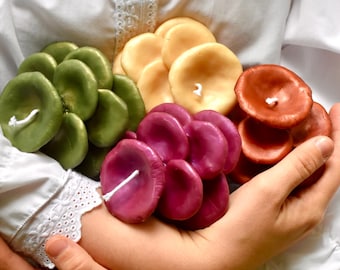Set di candele a forma di fungo in cera d'api, confezione in stile almanacco antico dipinta a mano, decorazione rustica a tema foresta.