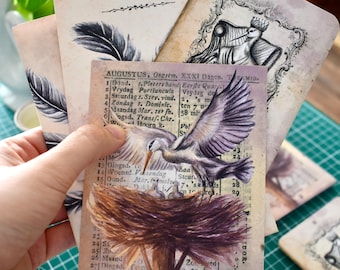 Vogelsprookjes-mailinglijst - vintage efemera - handgeschilderde illustraties in grafiet en aquarel