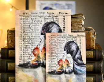 Cartolina artistica dipinta a mano con acquerello raffigurante una folaga – Materiale effimero del calendario olandese del 1805