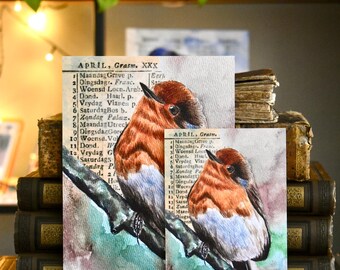 Cartolina con pettirosso dipinta a mano ad acquerello – Calendario vintage del 1805, simbolo vittoriano per la casa